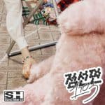 آلبوم 1to3 سوهو